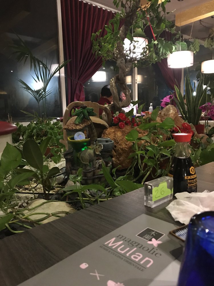 MAGNOLIE MULAN Updated March 2024 Via Nazareth 39, Padova, Italy