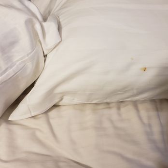 Rodeway Inn & Suites Canyon Lake I-15 - Disgusting brown stuff on two pillows!! - Hotels Near Me - Canyon Lake, California Rodeway Inn & Suites Canyon Lake I-15 - Disgusting brown stuff on two pillows!! - Hotels Near Me - Canyon Lake, California