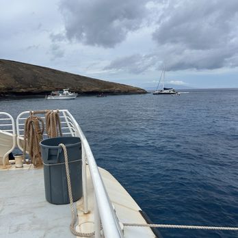 Pacific Whale Foundation - Molokini Crater - Community Service/Non-Profit Near Me - Wailuku, Hawaii Pacific Whale Foundation - Molokini Crater - Community Service/Non-Profit Near Me - Wailuku, Hawaii