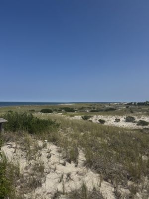 Crane Beach by null