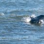Crescent Watersports