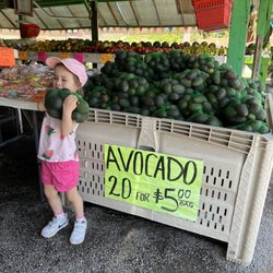 Hernandez Family Produce