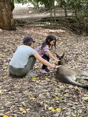 Australia Zoo by null