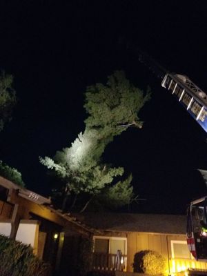 24hrs emergency - This tree uprooted from the heavy winds we get in Simi Valley ,ca. We dispatch a crew at 2am and tarp roof to secure it from the rain coming the very next day. Another day saved by our team 24hrs emergency - This tree uprooted from the heavy winds we get in Simi Valley ,ca. We dispatch a crew at 2am and tarp roof to secure it from the rain coming the very next day. Another day saved by our team