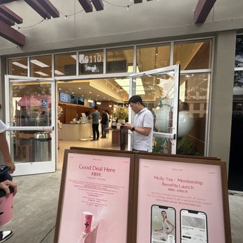 Molly Tea - Bubble Tea Near Me - Cupertino, California Molly Tea - Bubble Tea Near Me - Cupertino, California