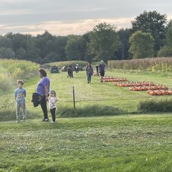 Wheatfield Pumpkin Farm