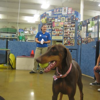 PetSmart - Advanced education class with Angela - Pet Training Near Me - Riverside, California