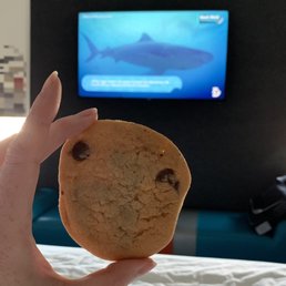 Cookies pair nicely with Shark Week.