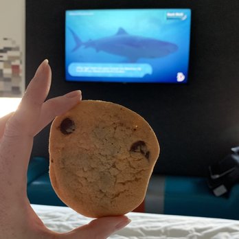 Tiff's Treats - Cookies pair nicely with Shark Week. - Bakeries Near Me - Plano, Texas