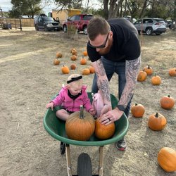 Pumpkins