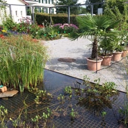 Kantonsschule Zürcher Oberland - Garten im August (wer findet den Frosch?)