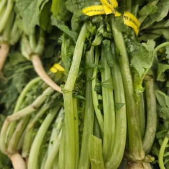 H Mart - Bellaire - Semi frozen korean radish - Grocery Near Me - Houston, Texas