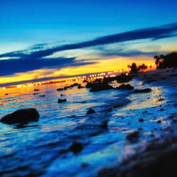 Mandi's Best Travel