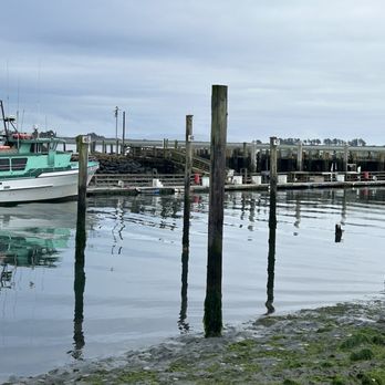 Porto Bodega Marina - View from our site - RV Parks Near Me - Bodega Bay, California Porto Bodega Marina - View from our site - RV Parks Near Me - Bodega Bay, California