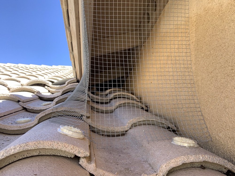 MAXX FORCE PEST CONTROL 35 Photos Yuma, Arizona Pest Control