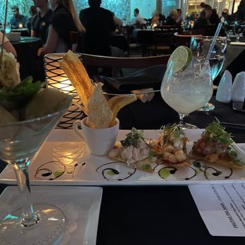 Selva Grill - To the left are the springroll starters along with the ceviche to the right. - Spanish Near Me - Sarasota, Florida