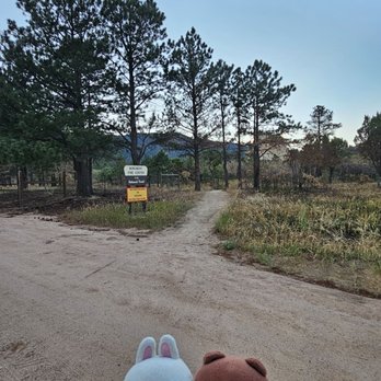 Monument rock - This hiking trail leads you closer to Monument Rock - Two plush toys, a bunny and a bear, are held in front of a dirt trail leading into a wooded area with trees and mountains in the background. - Hiking Near Me - Monument, Colorado