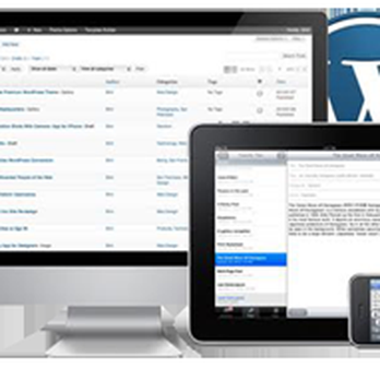 Nipa Pro - Web Design Near Me - Chicago, Illinois