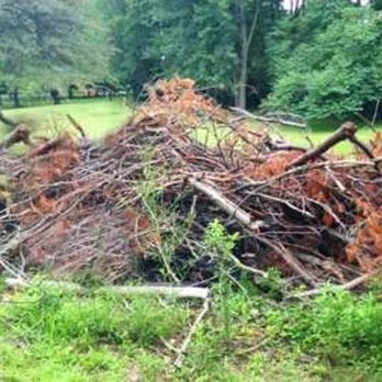 Affordable Hauling Services - Brush Clean Up - Junk Removal & Hauling Near Me Affordable Hauling Services - Brush Clean Up - Junk Removal & Hauling Near Me