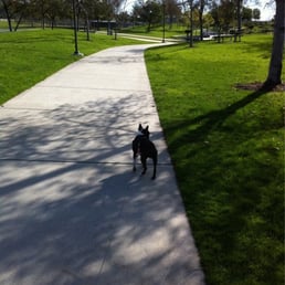 Sully @ park.