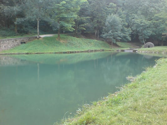 Hôtel Restaurant de la Montagne Noire by null