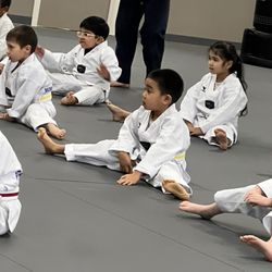 Master Kim's Peak Taekwondo