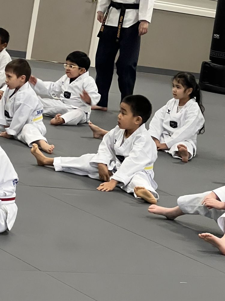 Master Kim's Peak Taekwondo Logo