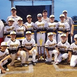 Long Island Hot Stove Baseball League - 11u Oil City Winners of Week Long Ripken Tournament