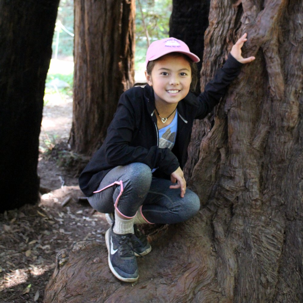 Big Sur Guides and Hiking - we learned about the coastal redwoods - Hiking Near Me