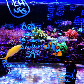 Ultimate Aquarium - Aquarium Services Near Me - San Mateo, California Ultimate Aquarium - Aquarium Services Near Me - San Mateo, California