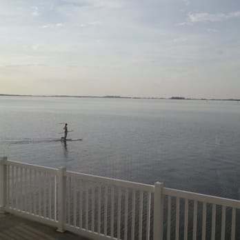 Bon Appetit - There is a dog on that paddle board. - New American Near Me - Dunedin, Florida Bon Appetit - There is a dog on that paddle board. - New American Near Me - Dunedin, Florida