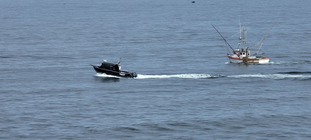 Pomo Bluffs Park Logo