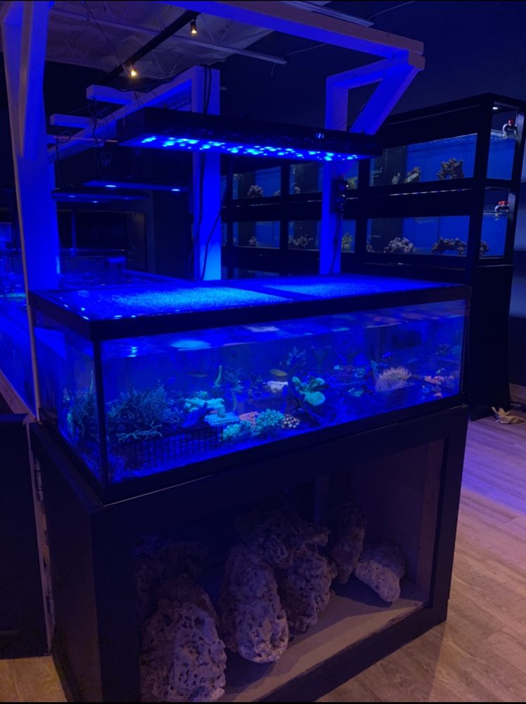 COASTAL REEF 21 Photos 1994 Eastwood Rd, Wilmington, North Carolina