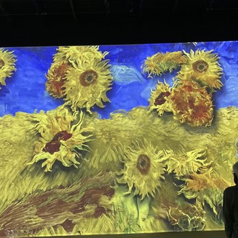 Van Gogh - Art Galleries Near Me - Washington, DC, District of Columbia