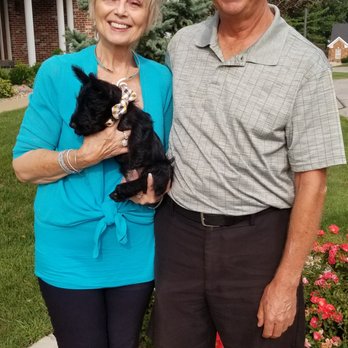 Pet Stop - New puppy parents- Presley 9 weeks old - Pet Stores Near Me - O'fallon, Missouri Pet Stop - New puppy parents- Presley 9 weeks old - Pet Stores Near Me - O'fallon, Missouri
