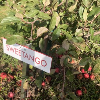 Applewood Orchard - My favorite apple - Pick Your Own Farms Near Me - Lakeville, Minnesota