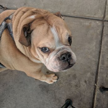 Ruperts at the Edge - Our new patio brunch buddy at Rupert's - Breakfast & Brunch Near Me - Edgewater, Colorado Ruperts at the Edge - Our new patio brunch buddy at Rupert's - Breakfast & Brunch Near Me - Edgewater, Colorado
