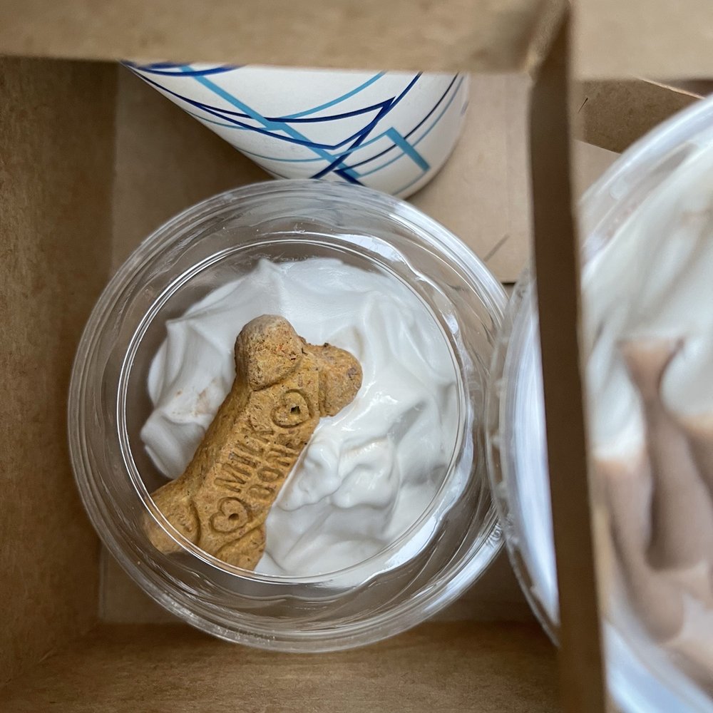 Scoopys Ice Cream - Puppy cup with dog treat - Ice Cream & Frozen Yogurt Near Me - Sewell, New Jersey Scoopys Ice Cream - Puppy cup with dog treat - Ice Cream & Frozen Yogurt Near Me - Sewell, New Jersey