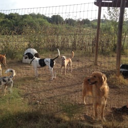 Ruff Ranch Pet Boarding