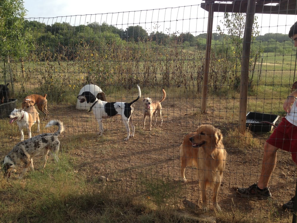 Ruff Ranch Pet Boarding - pet boarding facility in Buda, TX