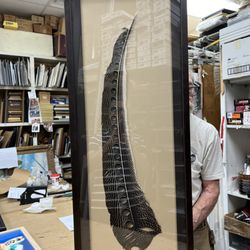 Stephanie's Art Gallery & Custom Picture Framing - Shadow Box . Here is our completed shadow box, crafted with the finest materials to ensure a top-quality product.
