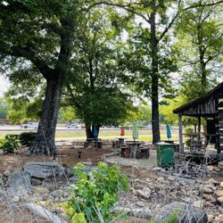 Pop's Cabin Creamery - The little bit of nature around you as you enjoy your ice cream