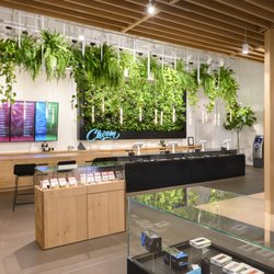 Choom - Beautiful living wall