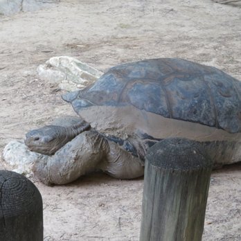 Cameron Park Zoo - Zoos Near Me - Waco, Texas Cameron Park Zoo - Zoos Near Me - Waco, Texas