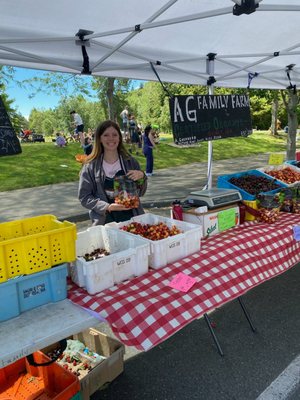Mercer Island Farmers Market by null