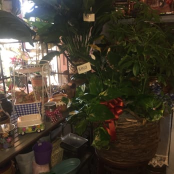 Cooper's Florist - Plants for sale - Florists Near Me - Hurst, Texas Cooper's Florist - Plants for sale - Florists Near Me - Hurst, Texas