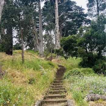 Buena Vista Park - Parks Near Me - San Francisco, California Buena Vista Park - Parks Near Me - San Francisco, California