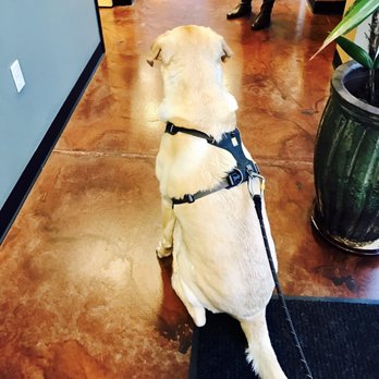 Evergreen Holistic Veterinary Care - "Waiting for my chip & treat." - Veterinarians Near Me - Monroe, Washington