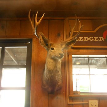 Cook's Station - deer head - Breakfast & Brunch Near Me - Pioneer, California Cook's Station - deer head - Breakfast & Brunch Near Me - Pioneer, California