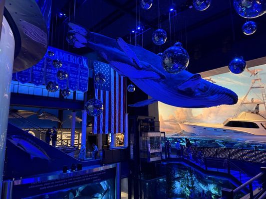 Wonders Of Wildlife National Museum & Aquarium by null